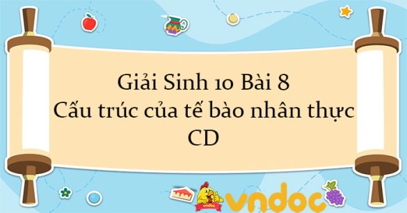 Giải Sinh 10 Bài 8: Cấu trúc của tế bào nhân thực CD