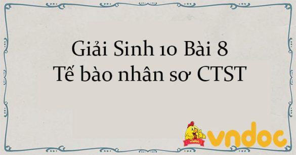 Giải Sinh 10 Bài 8: Tế bào nhân sơ CTST