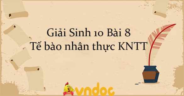 Giải Sinh 10 Bài 8: Tế bào nhân thực KNTT