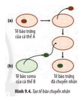 Giải Sinh 10 Bài 9