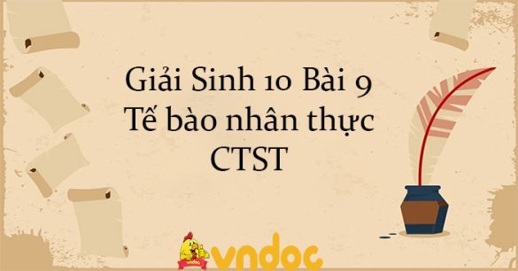 Giải Sinh 10 Bài 9: Tế bào nhân thực CTST