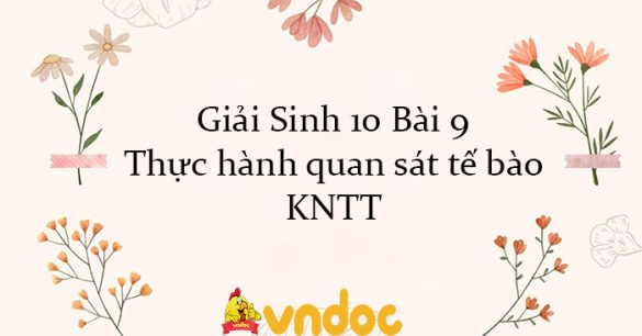 Giải Sinh 10 Bài 9: Thực hành quan sát tế bào KNTT