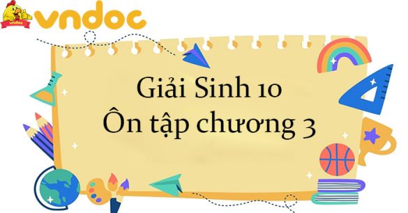 Giải Sinh 10 Ôn tập chương 3 CTST