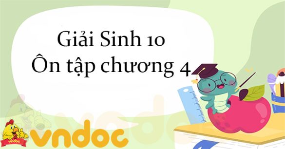 Giải Sinh 10 Ôn tập chương 4 CTST