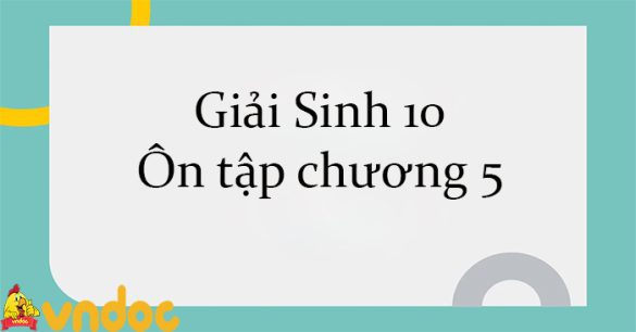 Giải Sinh 10 Ôn tập chương 5 CTST