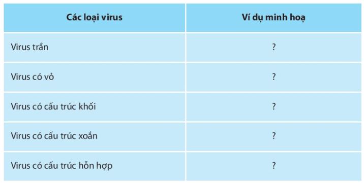 Giải Sinh 10 Ôn tập chương 6 CTST