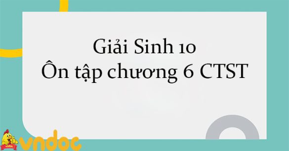 Giải Sinh 10 Ôn tập chương 6 CTST