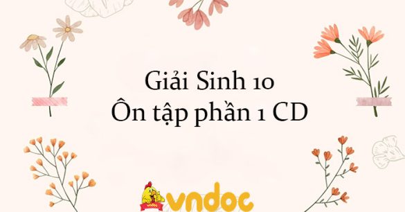 Giải Sinh 10 Ôn tập phần 1 CD