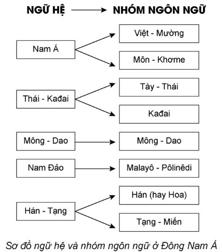 Giải Sử 10 Bài 13