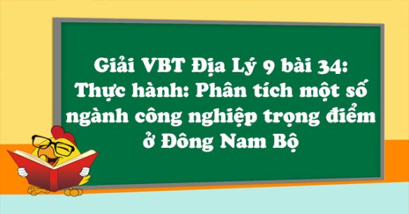 Giải VBT Địa Lý lớp 9 bài 34: Thực hành: Phân tích một số ngành công nghiệp trọng điểm ở Đông Nam Bộ