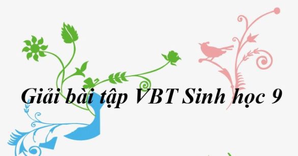 Giải bài tập VBT Sinh học lớp 9 bài 30: Di truyền học với con người