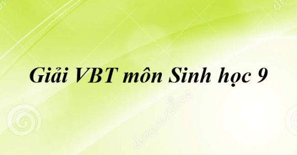 Giải bài tập VBT Sinh học lớp 9 bài 53: Tác động của con người đối với môi trường