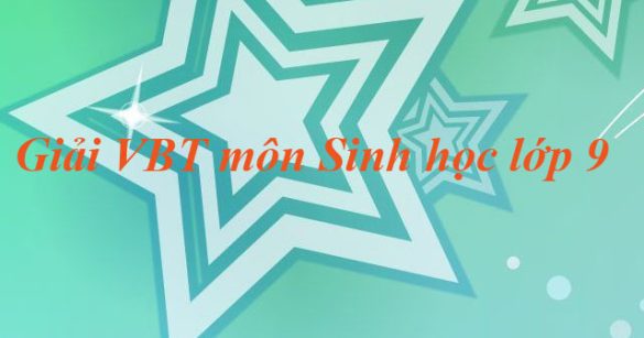 Giải bài tập VBT Sinh học lớp 9 bài 27: Thực hành quan sát thường biến