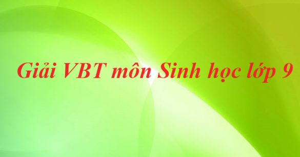 Giải bài tập VBT Sinh học lớp 9 bài 32: Công nghệ gen