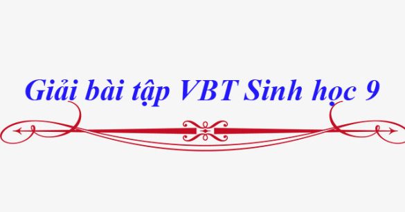 Giải bài tập VBT Sinh học lớp 9 bài 18: Prôtêin