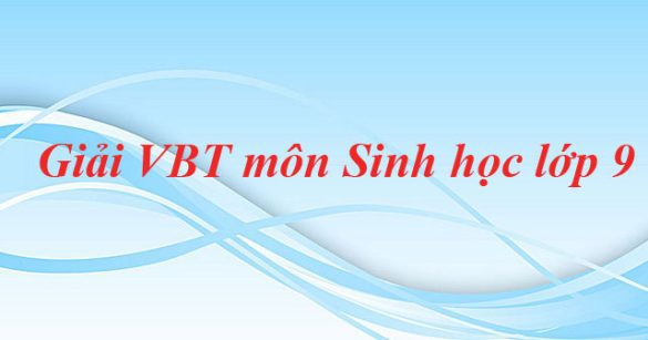 Giải bài tập VBT Sinh học lớp 9 bài 33: Gây đột biến nhân tạo trong chọn giống