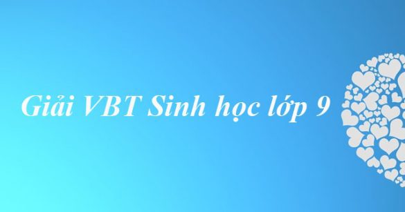 Giải bài tập VBT Sinh học lớp 9 bài 19: Mối quan hệ giữa gen và tính trạng