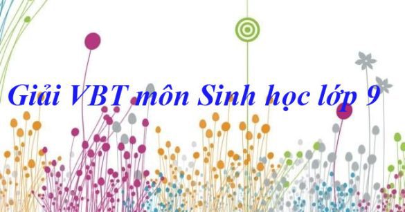 Giải bài tập VBT Sinh học lớp 9 bài 21: Đột biến gen