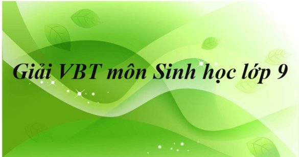 Giải bài tập VBT Sinh học lớp 9 bài 36: Các phương pháp chọn lọc