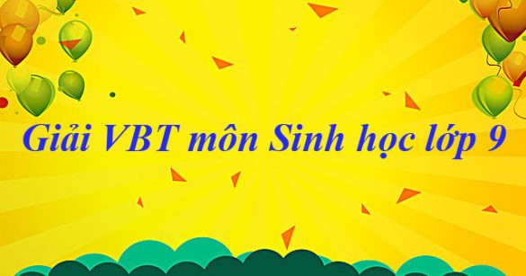 Giải bài tập VBT Sinh học lớp 9 bài 60: Bảo vệ đa dạng các hệ sinh thái