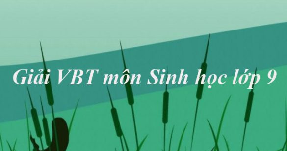 Giải bài tập VBT Sinh học lớp 9 bài 25: Thường biến