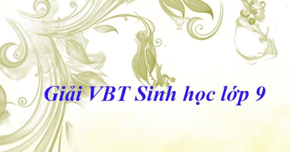 Giải bài tập VBT Sinh học lớp 9 bài 28: Phương pháp nghiên cứu di truyền người