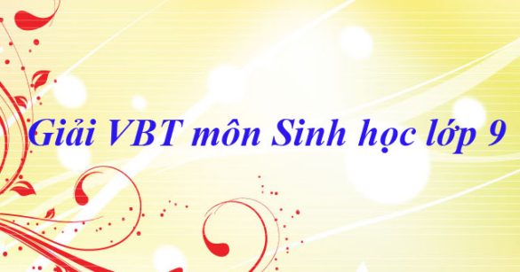 Giải bài tập VBT Sinh học lớp 9 bài 29: Bệnh và tật di truyền ở người