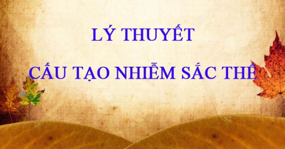 Lý thuyết Cấu tạo nhiễm sắc thể