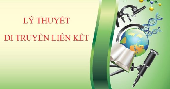 Lý thuyết Di truyền liên kết