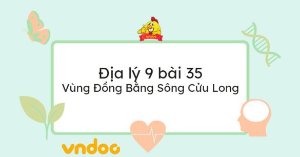 Lý thuyết Địa lý 9 bài 35: Vùng Đồng Bằng Sông Cửu Long