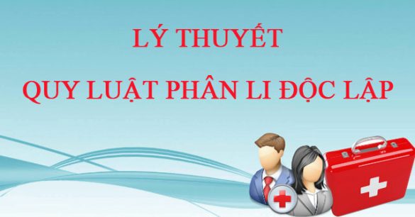 Lý thuyết Quy luật phân li độc lập