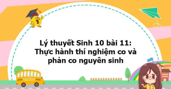 Lý thuyết Sinh học 10 bài 11 KNTT