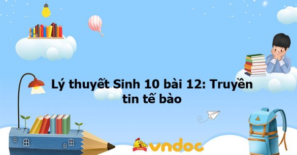 Lý thuyết Sinh học 10 bài 12 KNTT