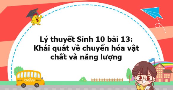 Lý thuyết Sinh học 10 bài 13 KNTT