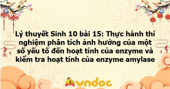 Lý thuyết Sinh học 10 bài 15 KNTT