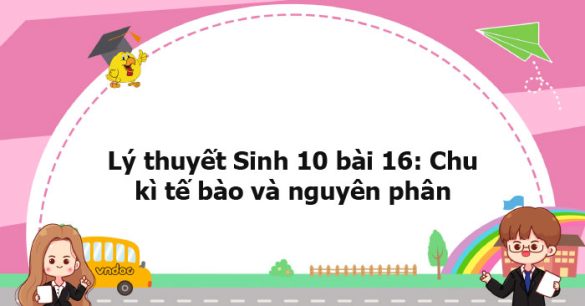 Lý thuyết Sinh học 10 bài 16 KNTT