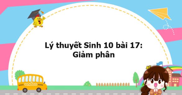 Lý thuyết Sinh học 10 bài 17 KNTT