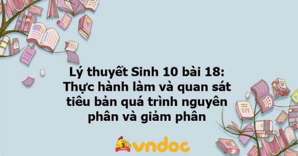 Lý thuyết Sinh học 10 bài 18 KNTT