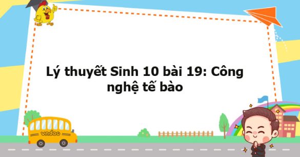 Lý thuyết Sinh học 10 bài 19 KNTT