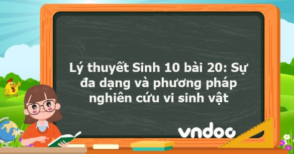 Lý thuyết Sinh học 10 bài 20 KNTT