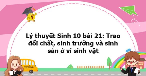 Lý thuyết Sinh học 10 bài 21 KNTT