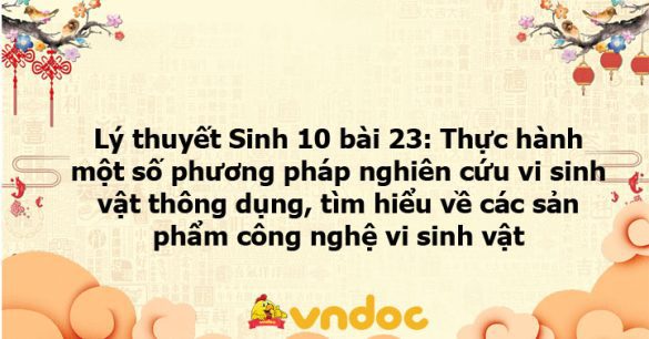 Lý thuyết Sinh học 10 bài 23 KNTT