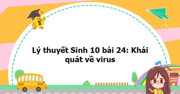 Lý thuyết Sinh học 10 bài 24 KNTT