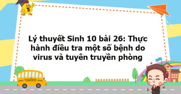 Lý thuyết Sinh học 10 bài 26 KNTT