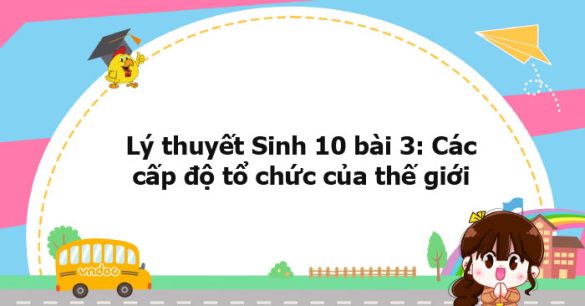 Lý thuyết Sinh học 10 bài 3 KNTT