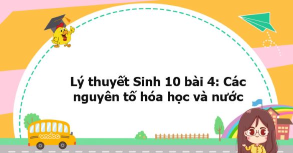 Lý thuyết Sinh học 10 bài 4 KNTT