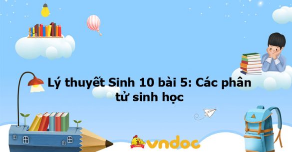 Lý thuyết Sinh học 10 bài 5 KNTT