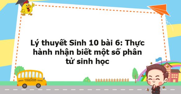 Lý thuyết Sinh học 10 bài 6 KNTT