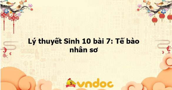 Lý thuyết Sinh học 10 bài 7 KNTT