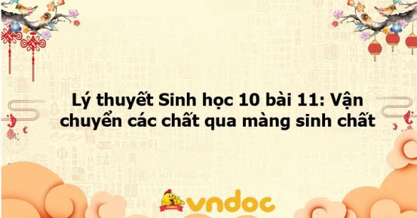 Lý thuyết Sinh học 10 bài 11 CTST